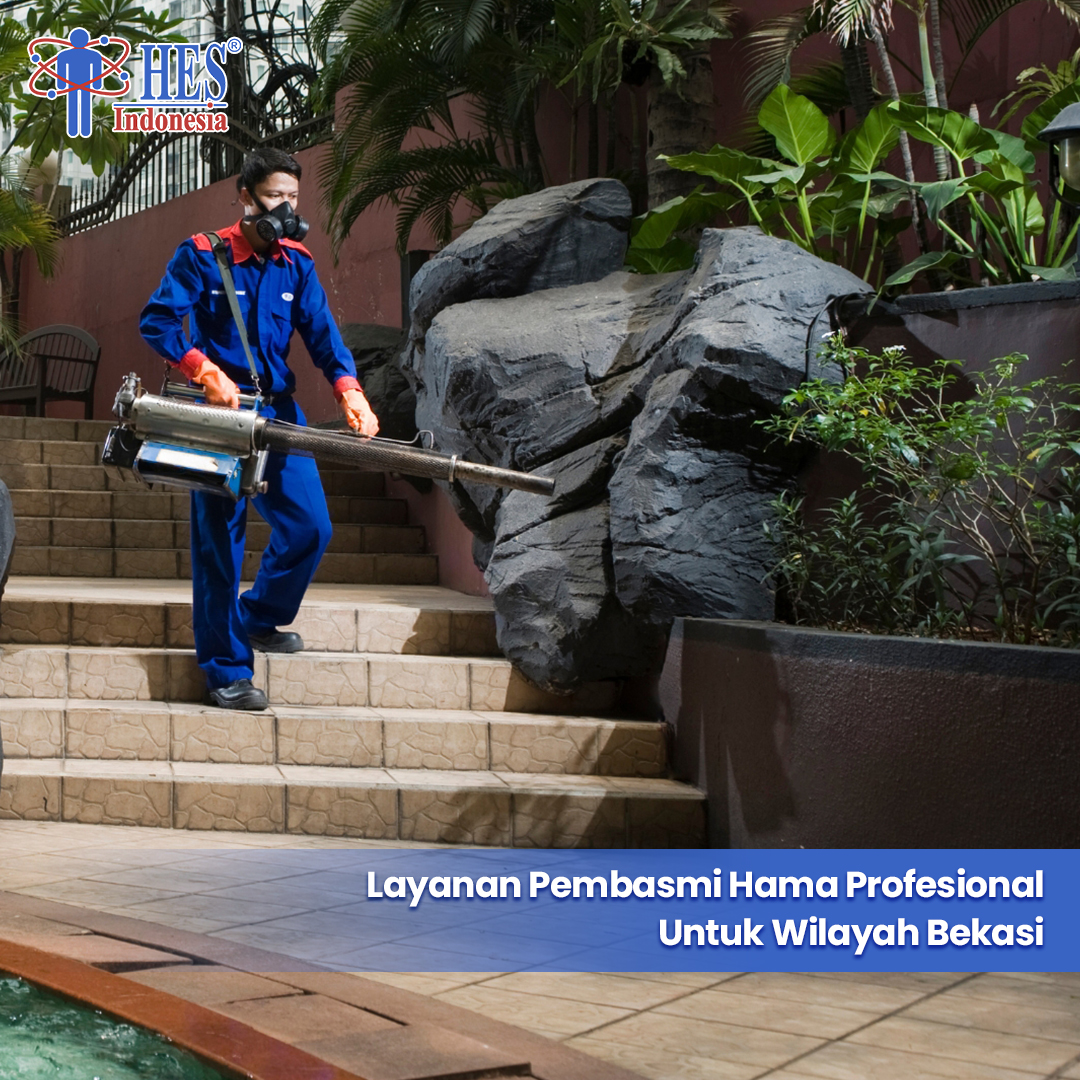 Layanan Pembasmi Hama Profesional Untuk Wilayah Bekasi