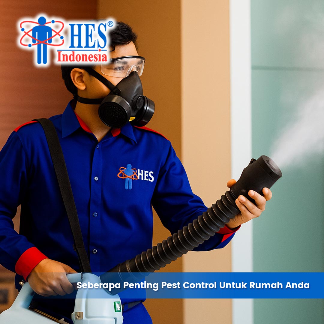 Seberapa Penting Pest Control untuk Rumah Anda? Ini Penjelasannya